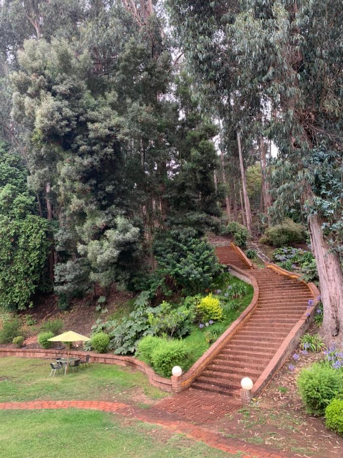 Hotel Bosque De Renaca Vina del Mar Eksteriør billede