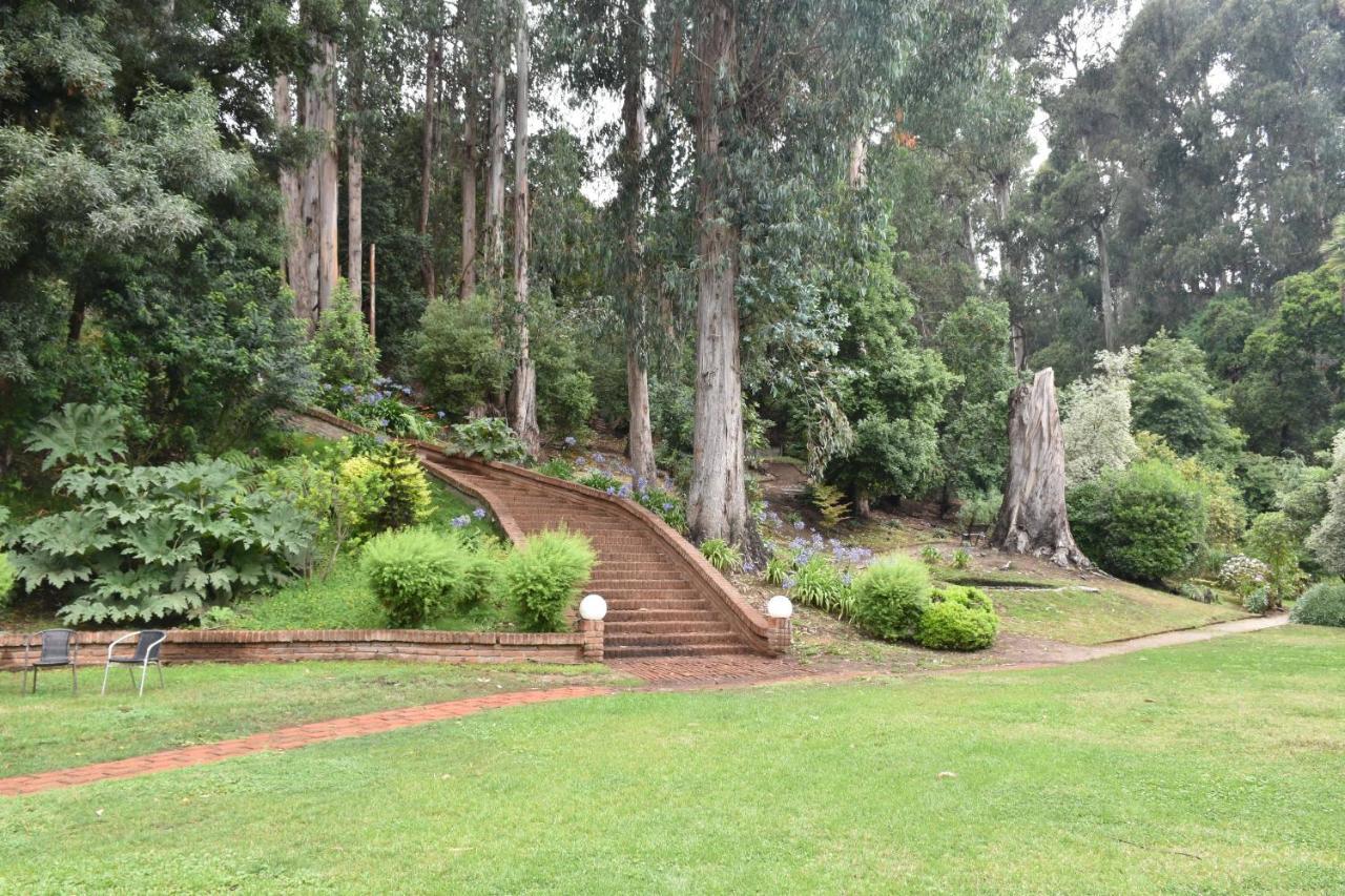 Hotel Bosque De Renaca Vina del Mar Eksteriør billede