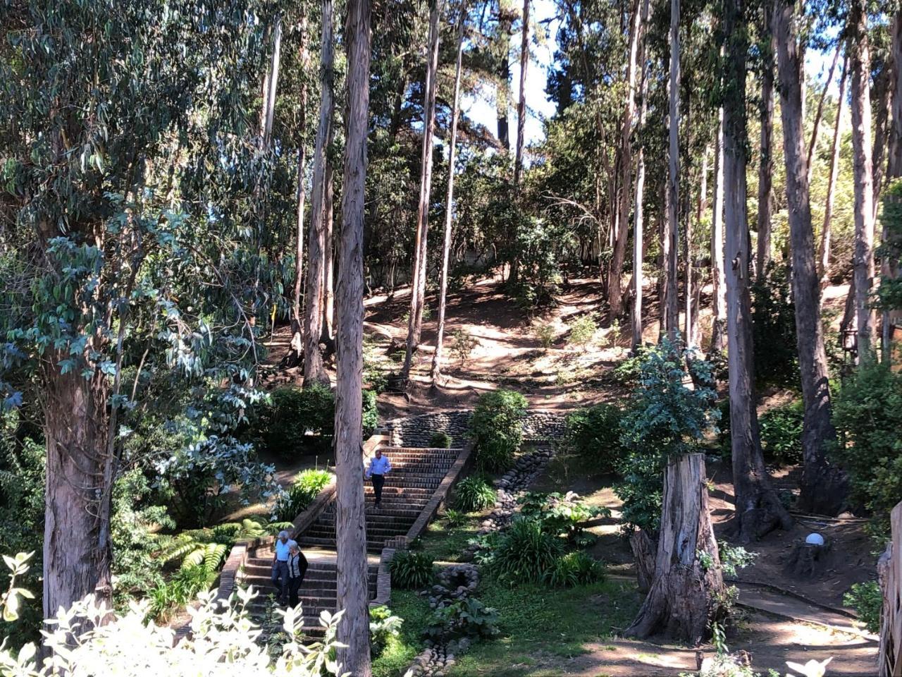 Hotel Bosque De Renaca Vina del Mar Eksteriør billede